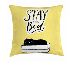 Sleepy Black Cat in a Box Pillow Cover