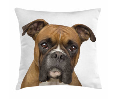 Purebred Dog Front View Pillow Cover