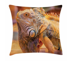 Caribbean Arboreal Animal Pillow Cover