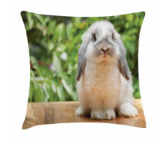 Photo of Holland Lop Rabbit Pillow Cover