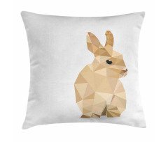 Chinese Zodiac Animal Art Pillow Cover