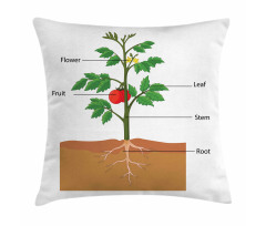 Parts of a Tomato Plant Pillow Cover