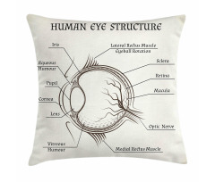 Structure of the Human Eye Pillow Cover