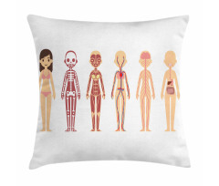 Female Body Anatomy Chart Pillow Cover