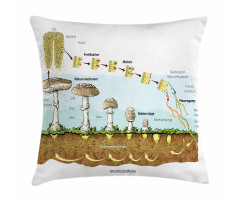 Life Cycle of Mushrooms Pillow Cover
