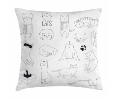 Pattern Cat Fiddles Kitten Pillow Cover