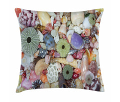 Closeup Colorful Big Little Pillow Cover