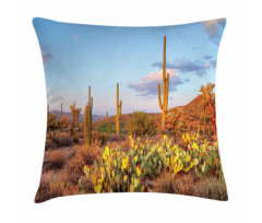 Cacti in Sonoran Desert Pillow Cover