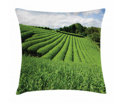 Sunny Landscape Tea Fields Pillow Cover