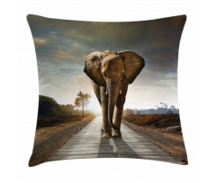 Walking down a Road Pillow Cover