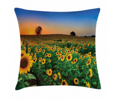 Flower Field at Sunset Pillow Cover
