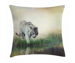 Albino Tiger Near a River Pillow Cover