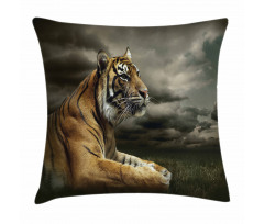 Jungle African Cat Clouds Pillow Cover