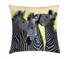 Zebras Wild Nature Pillow Cover