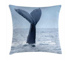 Whale Tail Puerto Lopez Pillow Cover