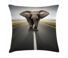 Wild Animal on Highway Pillow Cover