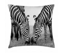 Wildlife Burchell Pillow Cover