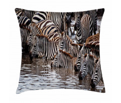 Zebra Wildebeest Herd Pillow Cover