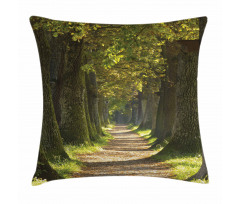 Alley with Oak Trees Pillow Cover