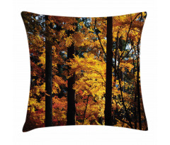 Fall Tranquil Countryside Pillow Cover