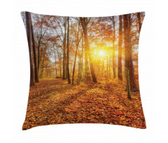 Foggy Sunset Sunbeams Pillow Cover