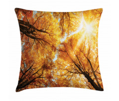 Autumn Sunbeams Forest Pillow Cover