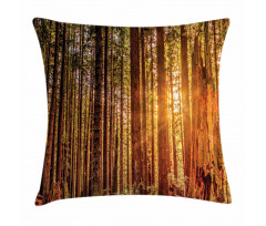 Redwoods Forestry Pillow Cover