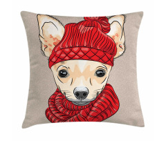 Fashionable Dog Pillow Cover