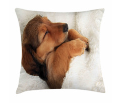 Puppy Sleeping in Its Bed Pillow Cover