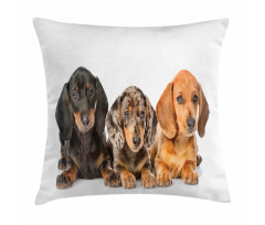 Different Color Dogs Lays Pillow Cover