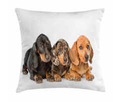 Puppies Lying Together Pillow Cover