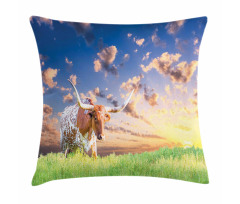 Female Cow in Pasture Sky Pillow Cover