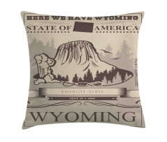 Retro Poster Equality State Pillow Cover