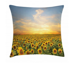 Blooming Farm at Sunset Pillow Cover