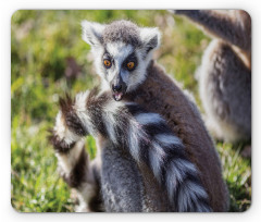 Ring Tailed Funny Expression Mouse Pad