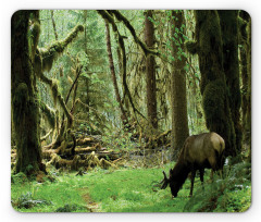 Roosevelt Elk in Park Mouse Pad