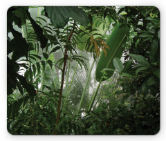 Tropical Rainforest Wild Mouse Pad