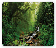 Spring in Nepal Footpath Mouse Pad