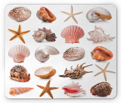 Mollusk Summer Holiday Mouse Pad