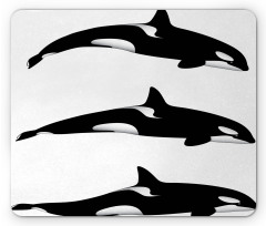Orca Killer Whales Mouse Pad