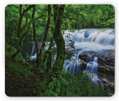 Canyon Woods Scene Mouse Pad