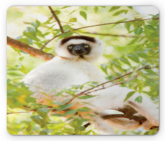 Wild Verreaux's Sifaka Photo Mouse Pad