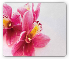 Close up Orchids View Mouse Pad