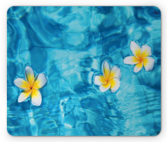 Frangipani Flower Aqua Mouse Pad