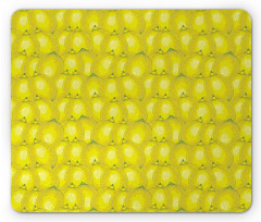 Ripe Citrus Vivid Drawing Mouse Pad