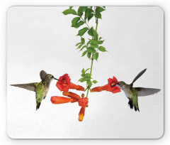 Hummingbird Nectar Sip Mouse Pad