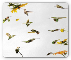 Hummingbird Sunflowers Mouse Pad