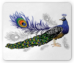 Wild Peacock Feather Mouse Pad