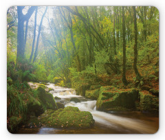 Forest at Golitha Falls Mouse Pad