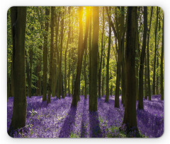 Bluebell Blossoms Mouse Pad